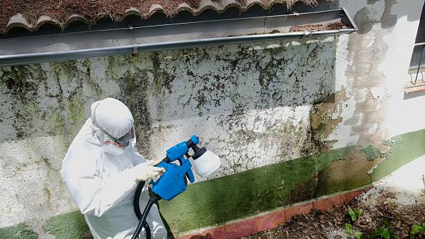 Trusted Mold Remediation service in Lancaster, PA - Cheap Mold Removal